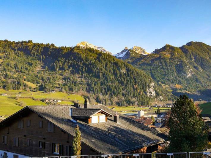 Ganze Wohnung, Hübeli (Moosmatten) in Saanenmöser, Zweisimmen
