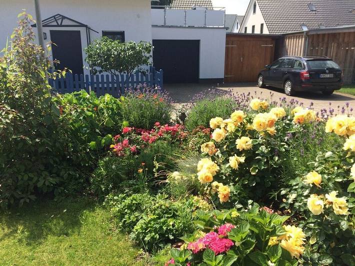 Ferienhaus für 3 Personen, mit Terrasse in Usedomer Norden - 4