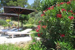 Roma in Flayosc, Région de Draguignan