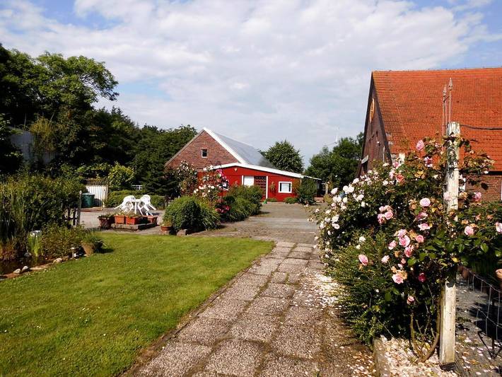 Ferienhaus für 4 Personen, mit Terrasse und Garten in Großheide - 3