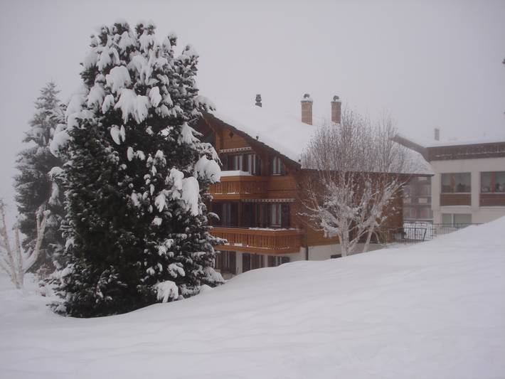 Ganze Ferienwohnung, Chalet Petunia -Bettwohnung in Grächen, Walliser Alpen