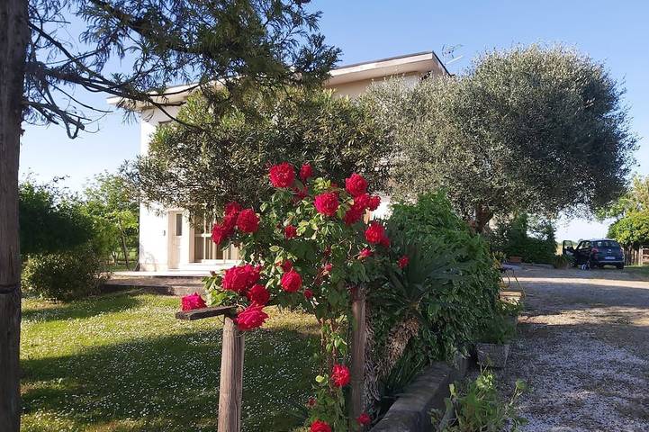 Ferienhaus für 4 Personen, mit Balkon und Garten - 1