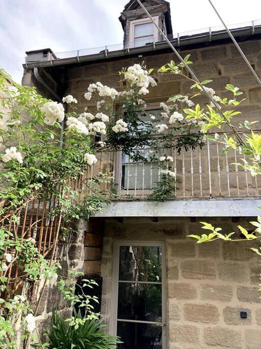 Appartement entier, One-Bedroom Apartment in Brive-la-Gaillarde, Région de Brive-la-Gaillarde