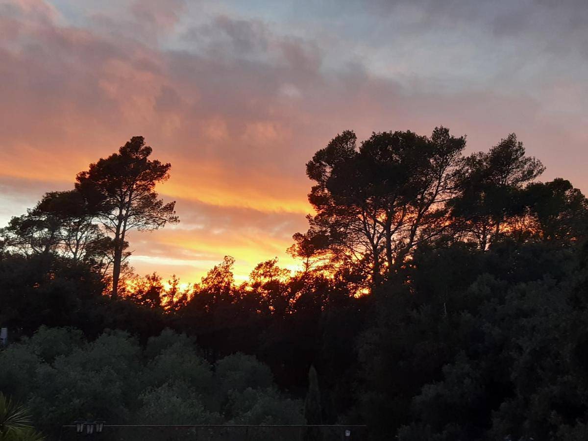 Double Room with Terrace in Taradeau, Région de Draguignan