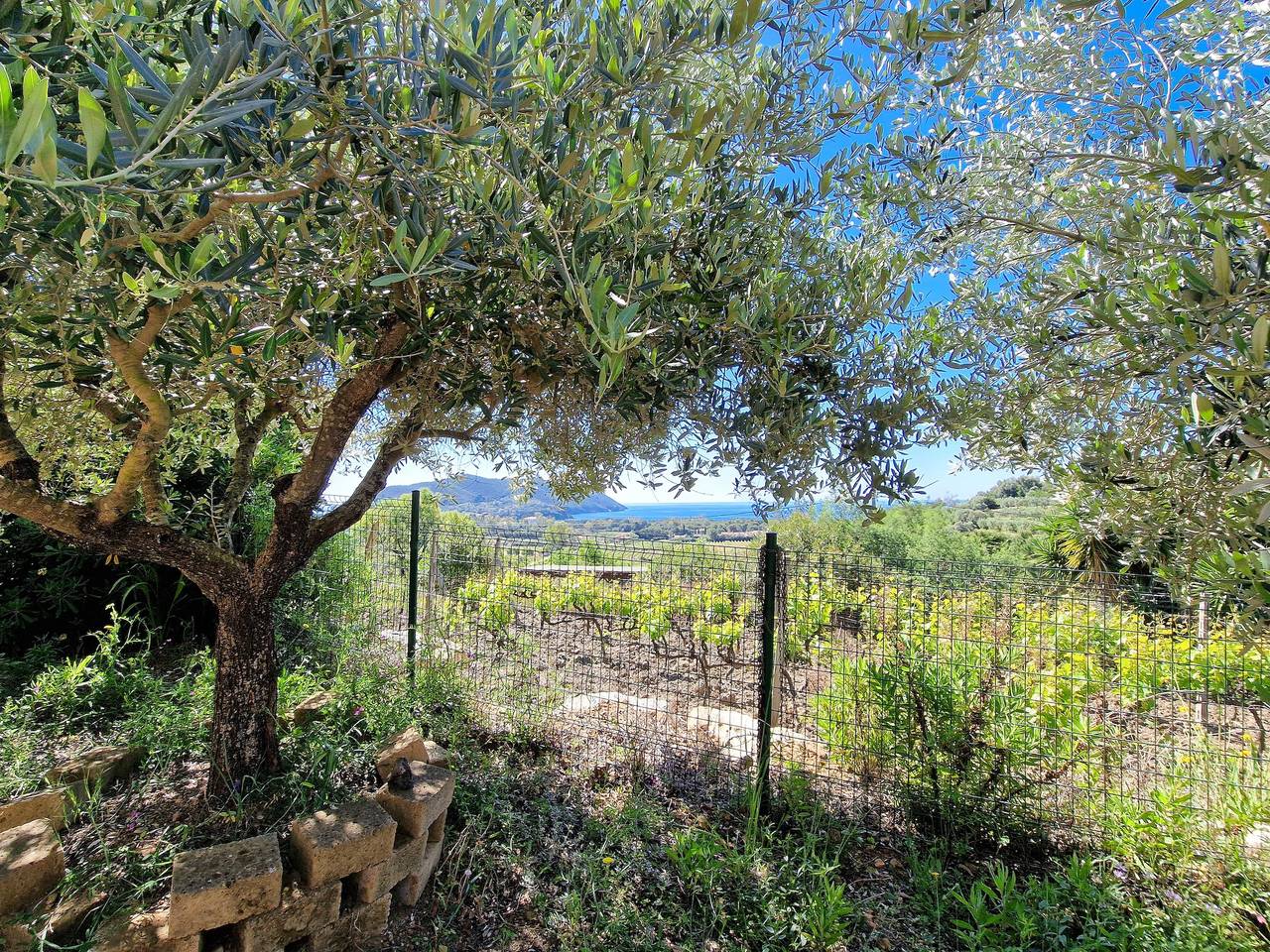 Ganze Wohnung, Apartment 'Lacona Beach' mit privater Veranda in Lacona, Capoliveri