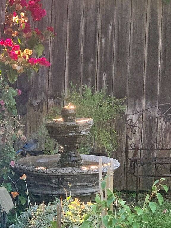 Spanischer Bungalow mit Whirlpool! In der Nähe der Innenstadt und einfachen Zugang zum Weinland in Napa, Napa Valley