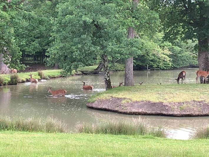 Gîte pour 9 personnes, avec sauna et piscine ainsi que jacuzzi et jardin à Donnery - 3