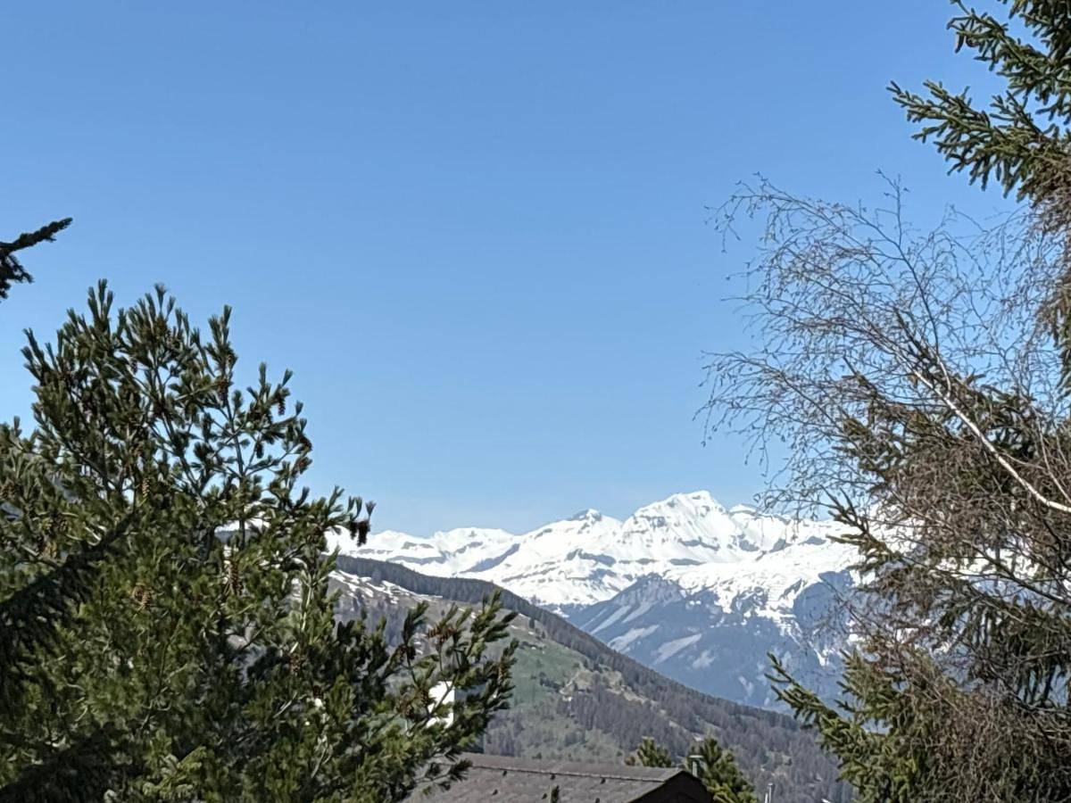 Chalet Claire in Bürchen, Walliser Alpen