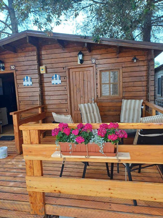 Ferienwohnung für 3 Personen, mit Garten, mit Haustier - 1