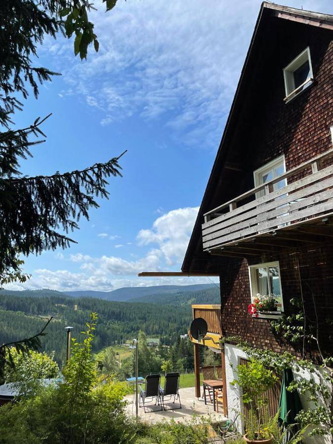 Ferienhaus für 12 Personen, mit Sauna und Whirlpool sowie Pool und Garten in Feldberg - 4