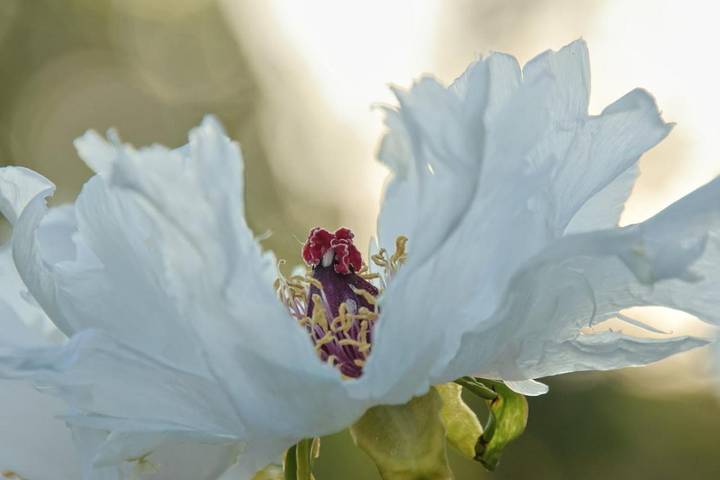 Bungalow für 8 Personen, mit Ausblick und Garten in Franken - 4