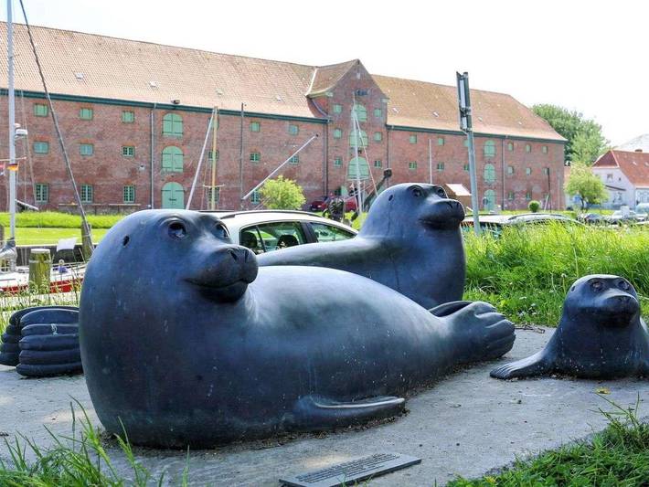 Ganze Ferienwohnung, Sanddüne - Sanddüne in Tönning, Halbinsel Eiderstedt
