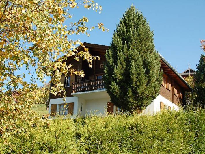 2 im Chalet Primula in Bürchen, Walliser Alpen