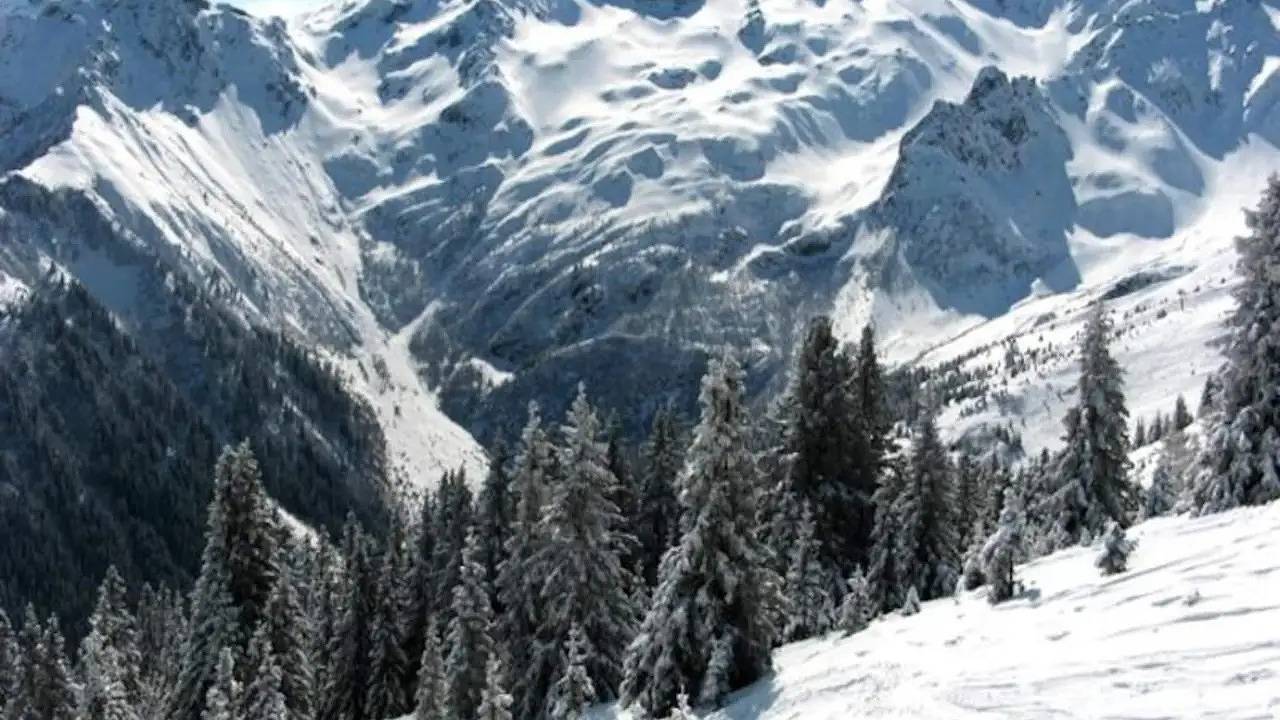 Ganze Ferienwohnung, Ferienwohnung für 3 Personen (23 m²) in La Ferrière in La Ferrière, Le Pleynet