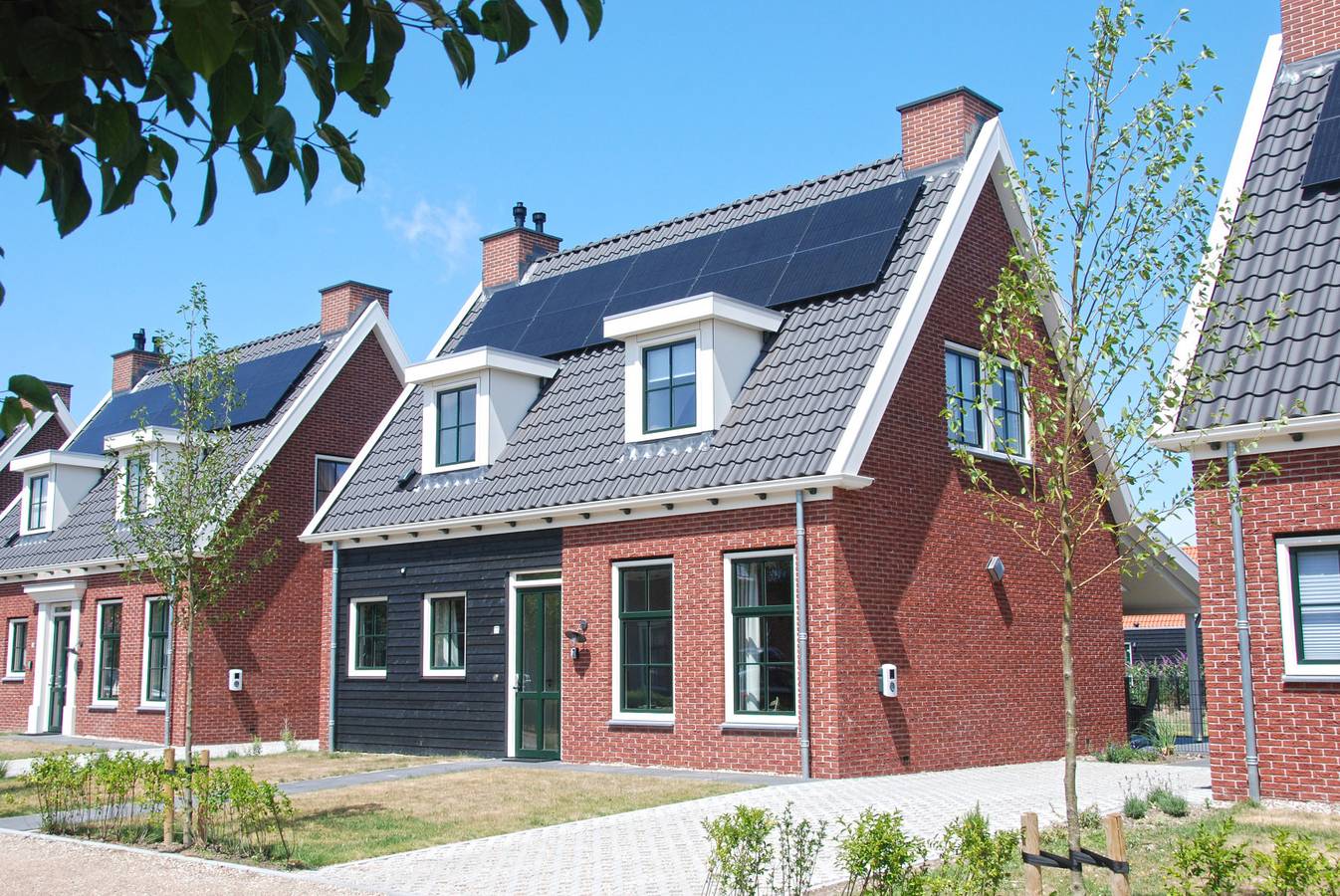 Freistehende Luxusvilla für 8 Personen mit Sauna und Außenwhirlpool in Colijnsplaat in Colijnsplaat, Zeeuwse Kust