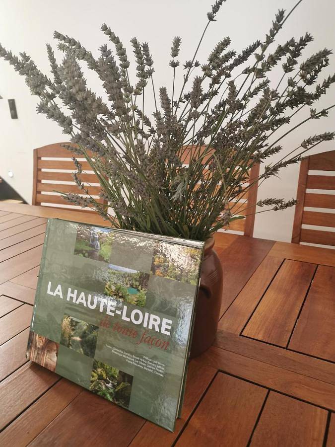 Location de vacances pour 10 personnes, avec jardin à Bas-en-Basset - 4