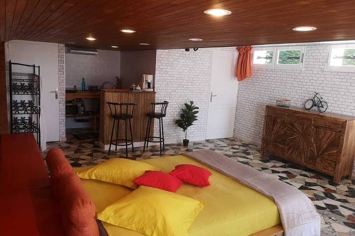 Gîte pour 4 personnes, avec jardin et terrasse, animaux acceptés à Châteauneuf-de-Galaure - 3