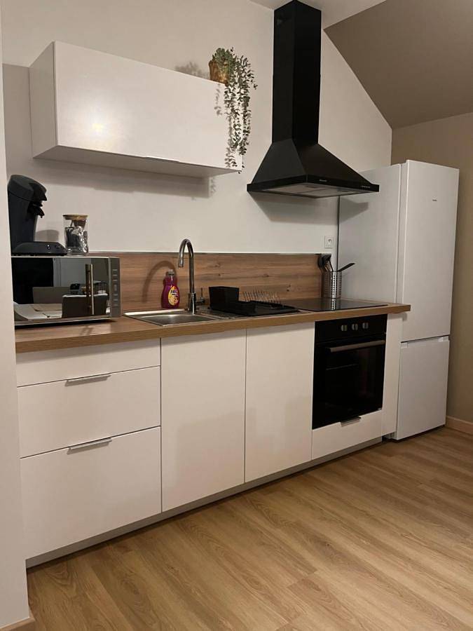 Location de vacances pour 4 personnes, avec jardin ainsi que sauna et terrasse à Berthenay - 2