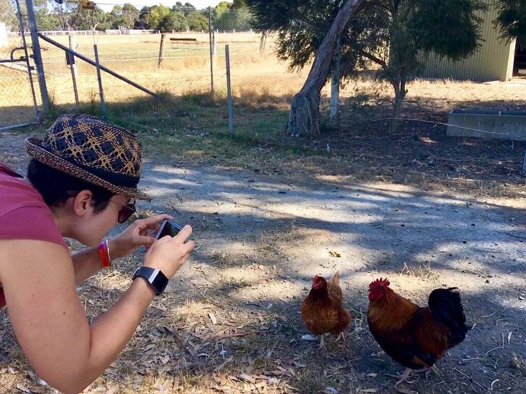 Agriturismo for 7 People in Mornington Peninsula