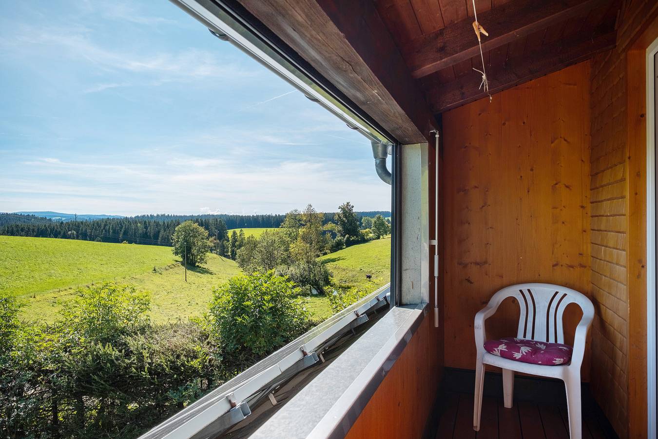 Ganze Wohnung, Ferienwohnung 'Feldbergblick' mit Bergblick, Gemeinschaftsgarten und Wlan in Furtwangen, Südschwarzwald