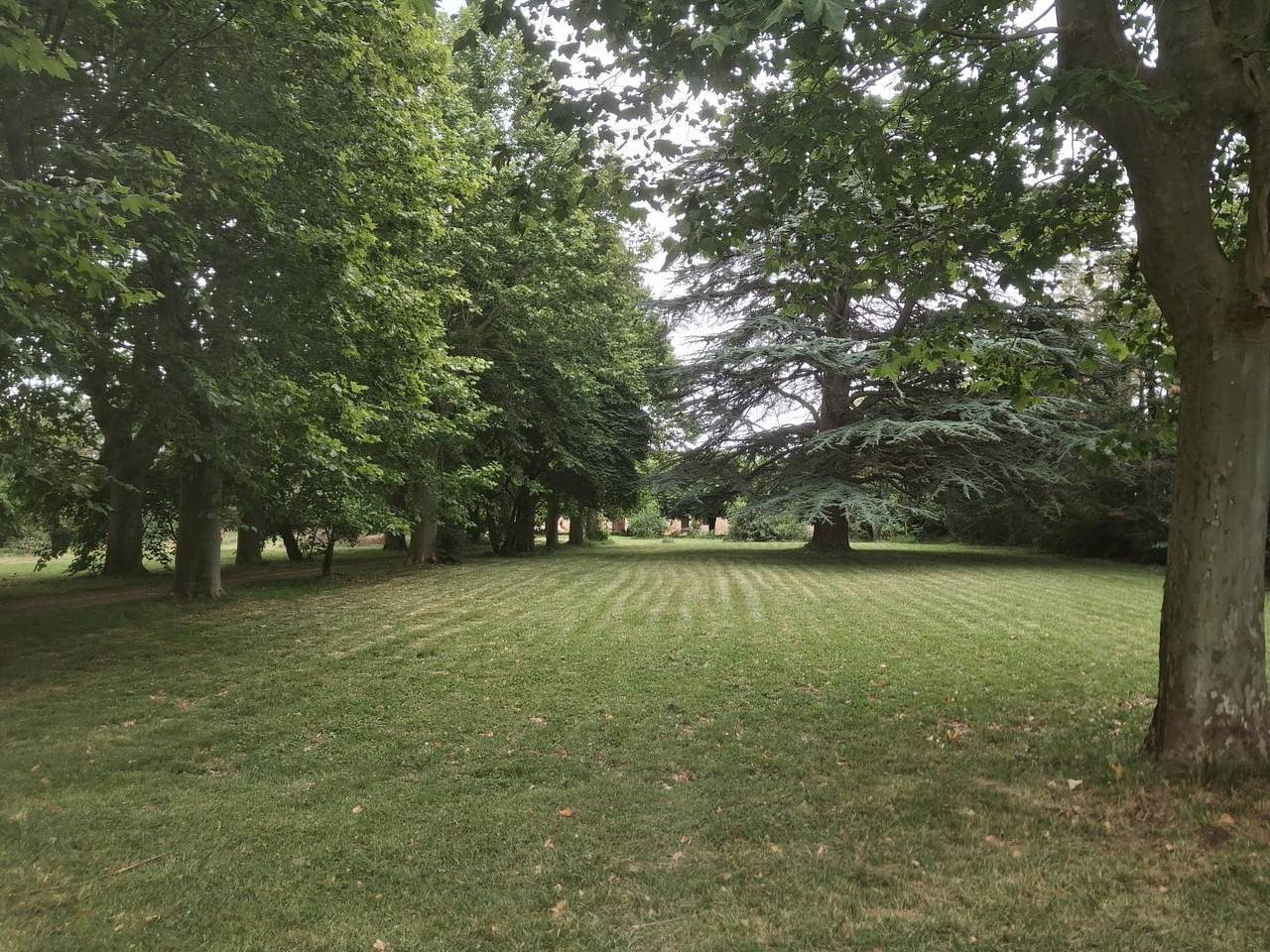 En Fique in Saint-Julia, Lauragais