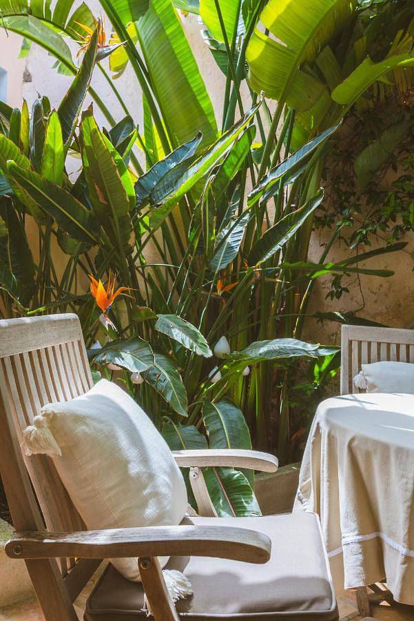 Villa pour 4 personnes, avec piscine ainsi que jardin et vue à Saint-Tropez - 4