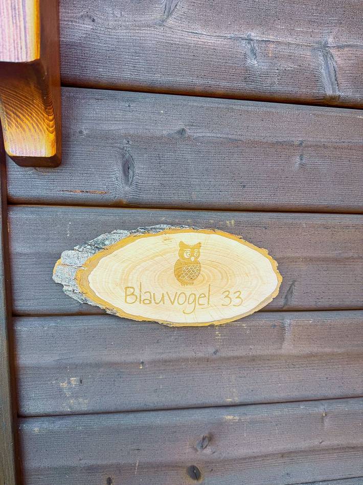 Ferienhaus für 6 Personen, mit Sauna und Ausblick sowie Garten, mit Haustier im Ostharz - 4