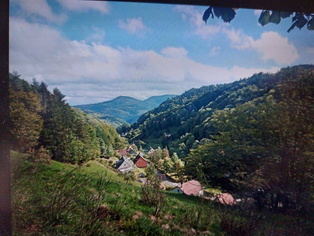 Gîte la Fonderie in Fréland, Parc naturel régional des Ballons des Vosges