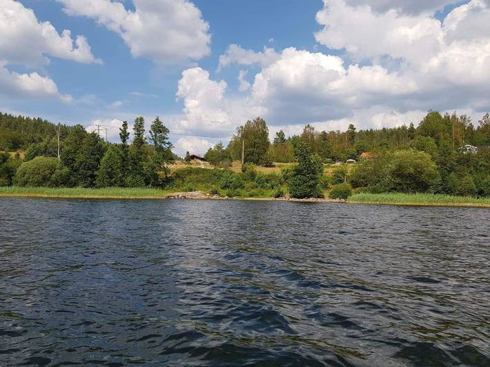 Fågelsången in Kinda, Östergötland