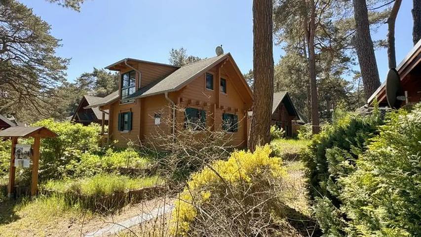 Ferienhaus für 5 Personen, mit Terrasse, mit Haustier in Baabe - 4