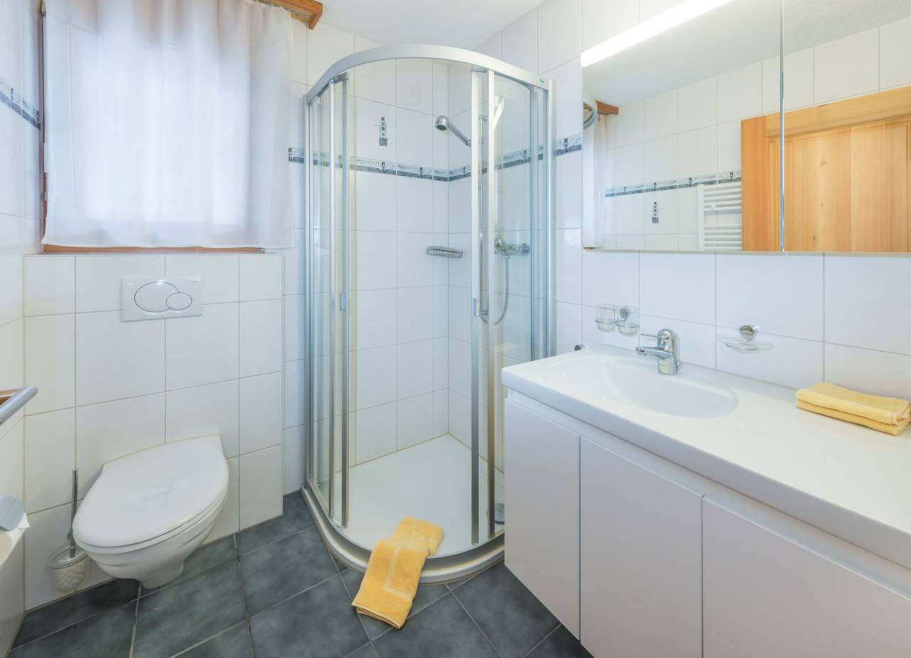 Ganze Ferienwohnung, Asterb - 4-Bettwohnung 1287 in Grächen, Walliser Alpen