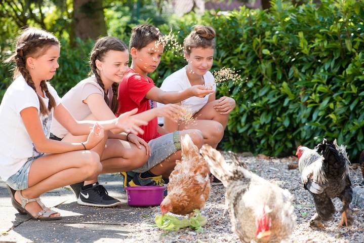 Bauernhof für 4 Personen, mit Garten und Terrasse in Grömitz
