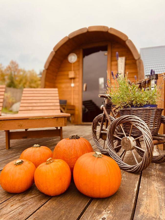 Cottage pour 4 personnes, avec piscine et vue ainsi que sauna et jardin, animaux acceptés