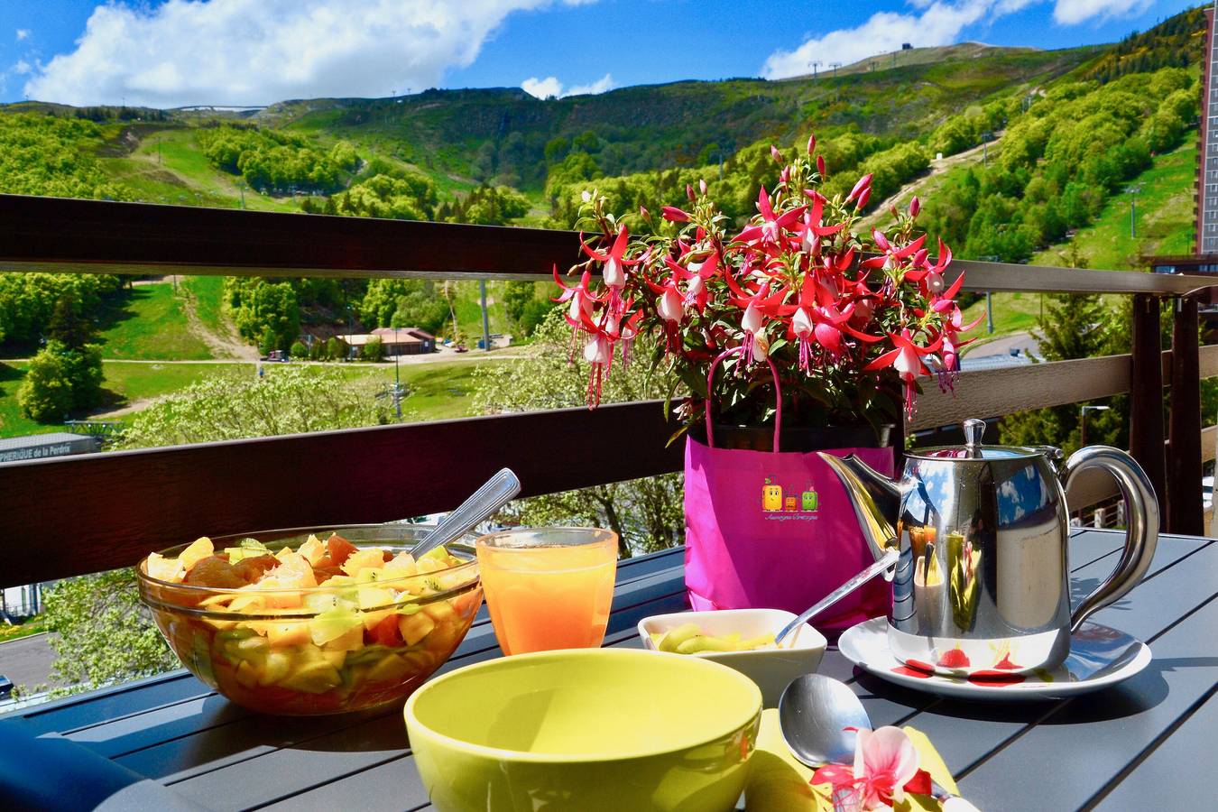 Appartement entier, Appartement "Caribou" avec vue sur le lac et terrasse privée in Super Besse, Besse-et-Saint-Anastaise