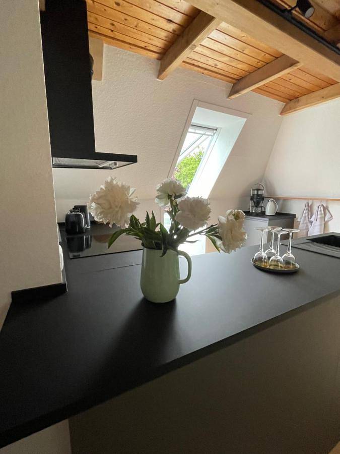 Ferienwohnung für 6 Personen, mit Whirlpool und Garten sowie Pool und Ausblick in Freizeitpark Tolk-Schau - 2