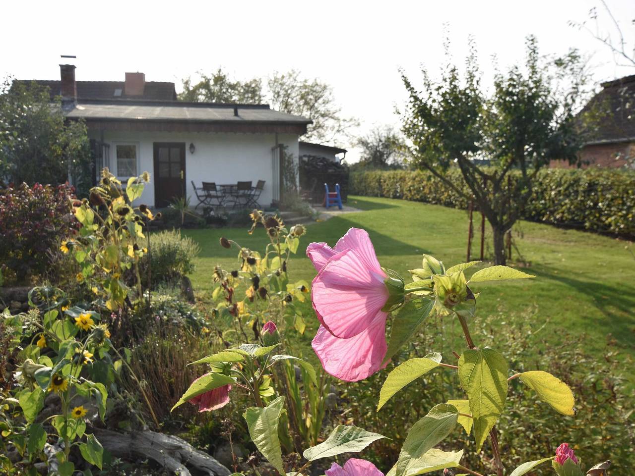 Ganze Ferienwohnung, Ferienhäuser Alt Farpen am Salzhaff Ovs 11 in Blowatz, Neuburg