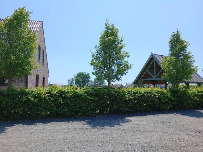 Location de vacances pour 11 personnes, avec vue et jardin à Zedelgem - 3