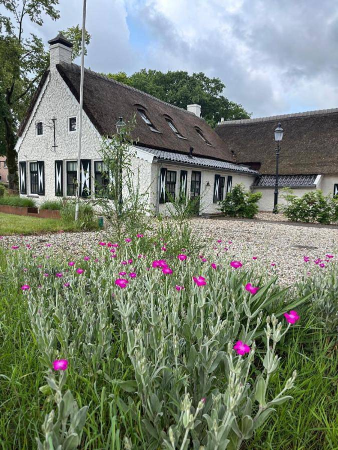 Hotel voor 2 personen, met uitzicht en terras, met huisdier in Eext