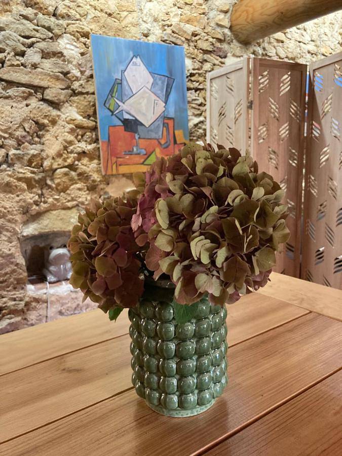 Gîte pour 5 personnes, avec vue à Saint-Montan - 2