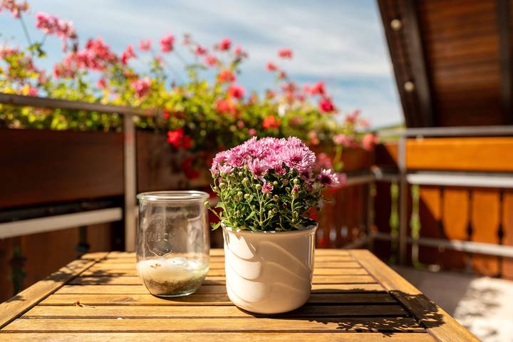 Ferienwohnung für 4 Personen, mit Garten in Sasbachwalden - 3