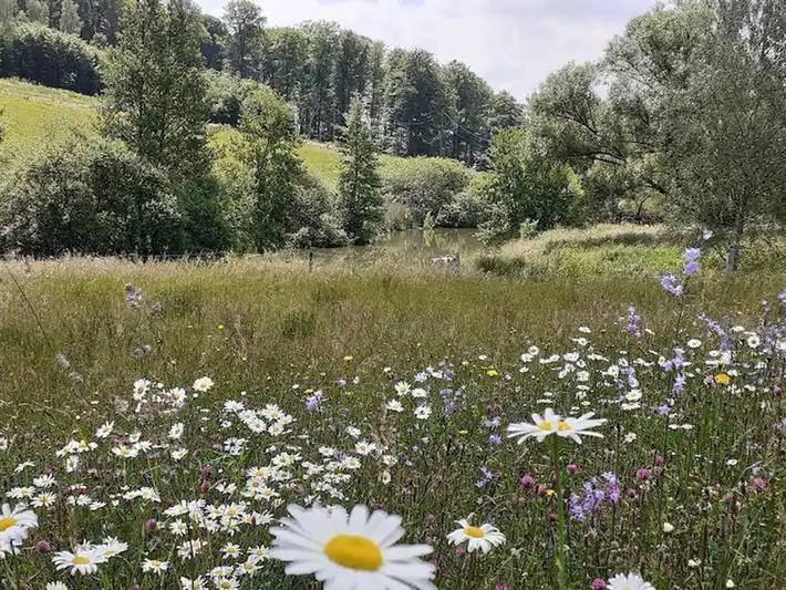 Gîte pour 4 personnes, avec jardin dans Xertigny - 4