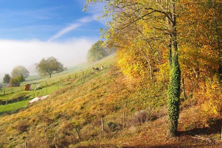 Gîte pour 4 personnes, avec jardin et vue à Paladru - 4