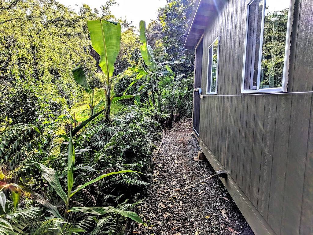 Rainforest Winzige Hütte mit Küchenzeile (keine Reinigungsgebühr) in Honomu, Hamakua