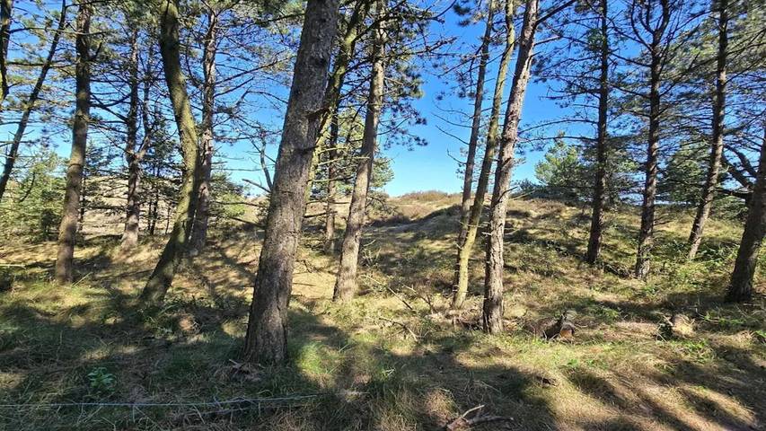 Ferienhaus für 5 Personen, mit Terrasse in Lakolk - 3