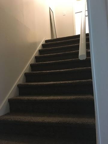 Apartment for 5 Guests in Charlotte, Mecklenburg County, Picture 2