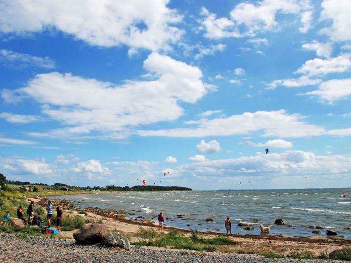 Ferienwohnung für 4 Personen, mit Garten und Terrasse, mit Haustier in Thiessow - 4