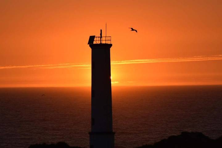 Appartement de vacances pour 4 personnes - 1