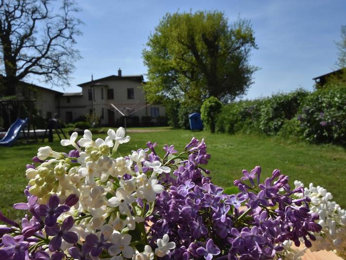 Ferienpark für 5 Personen, mit Seeblick und Ausblick sowie Garten, mit Haustier in Mecklenburg-Vorpommern - 2