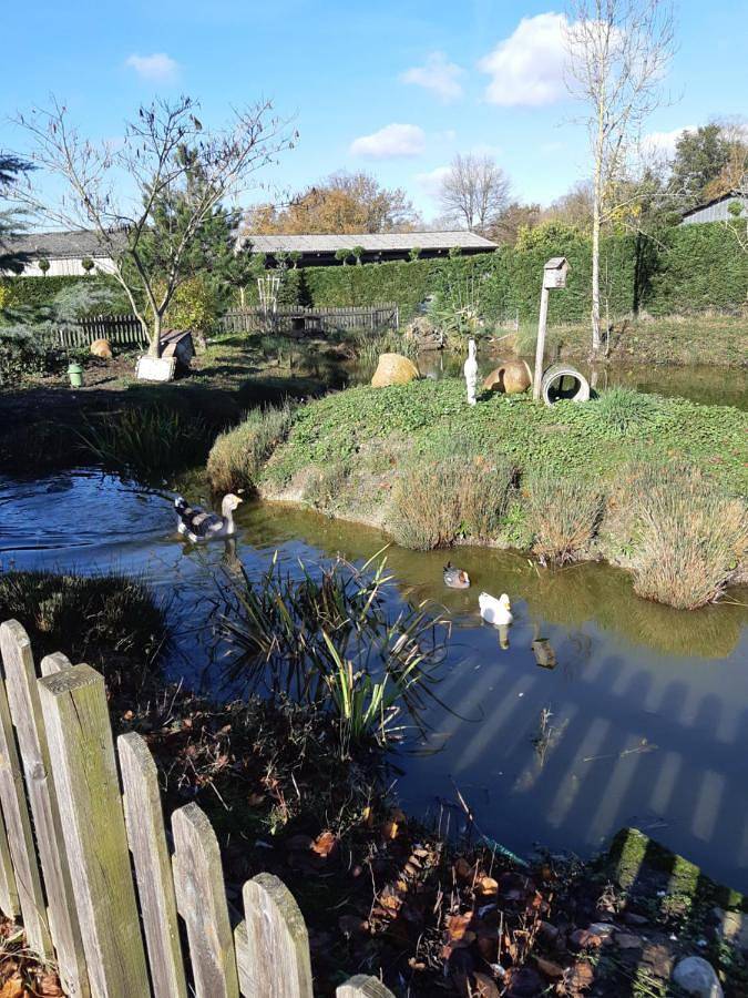 Maison de vacances pour 4 personnes, avec terrasse, animaux acceptés