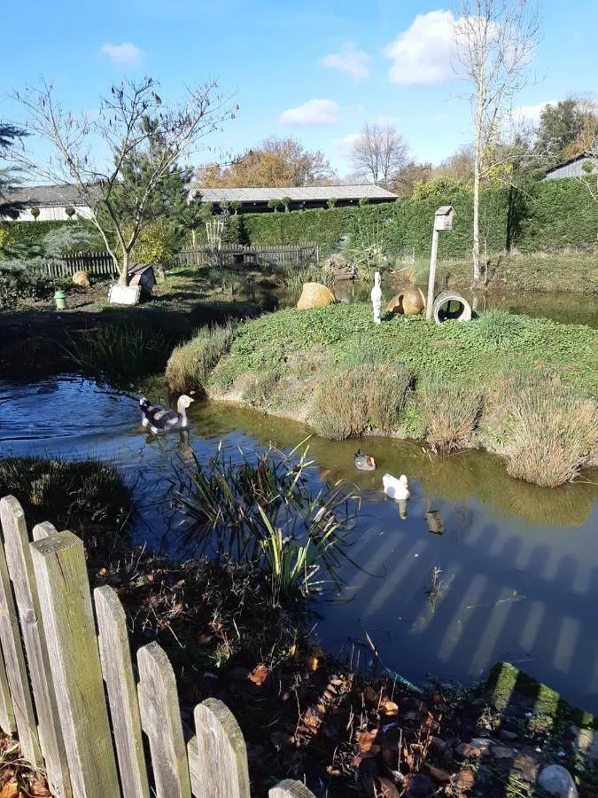 Maison de vacances pour 4 personnes, avec terrasse, animaux acceptés - 1